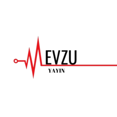 mevzuyayin