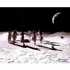 moonlightribe