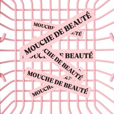 mouchedebeaute