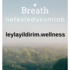 nefesledonusumlab