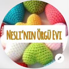 neslininorguevi