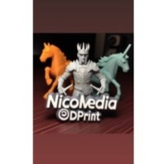 nicomedia3dprints