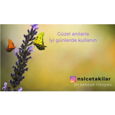 nslcetakilar
