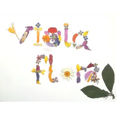 violaflora