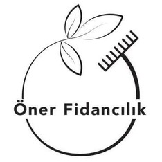 onerfidancilik