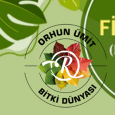 orhunumitbitkidunyasi