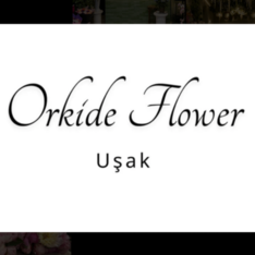 orkide_flw