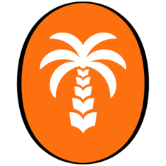 palmiyekitap