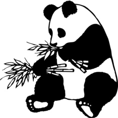 pandaleather