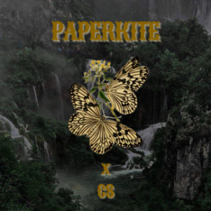 paperkite