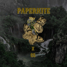 paperkitevintage