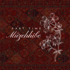 parttimemuzehhibe