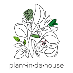plantindahouse