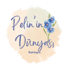 plnbgra