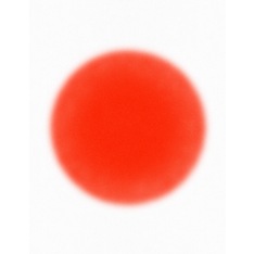 raf9