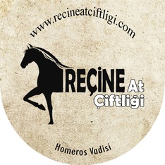 recine