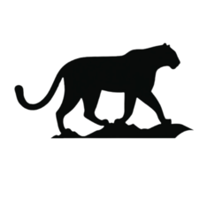 redpardus