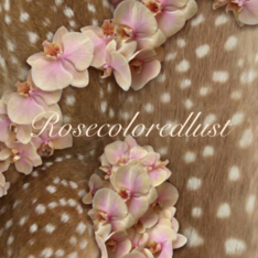 rosecoloredlust
