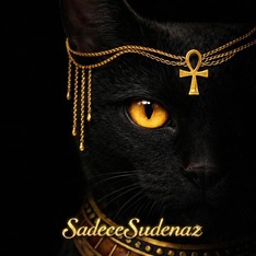 sadecesudenaz