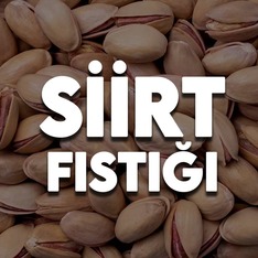 siirtfistigi1