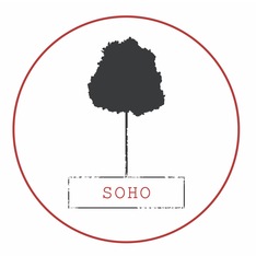 sohocamera