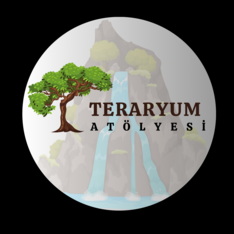 teraryumatolyesi