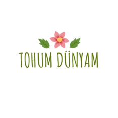 tohumdunyam