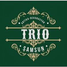 triodesignsamsun