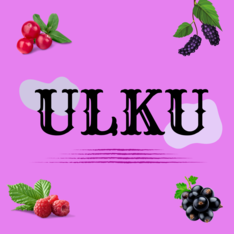 ulkufood