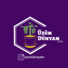 uzumdunyam