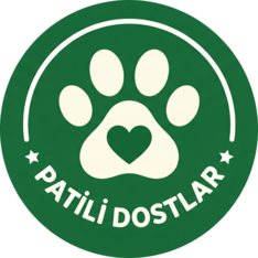 velsdijital