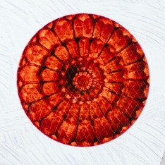 yenidunyalarakapi