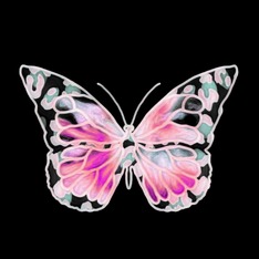 yokuboshop
