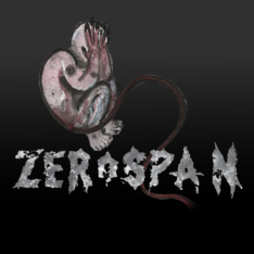 zerospanofficial