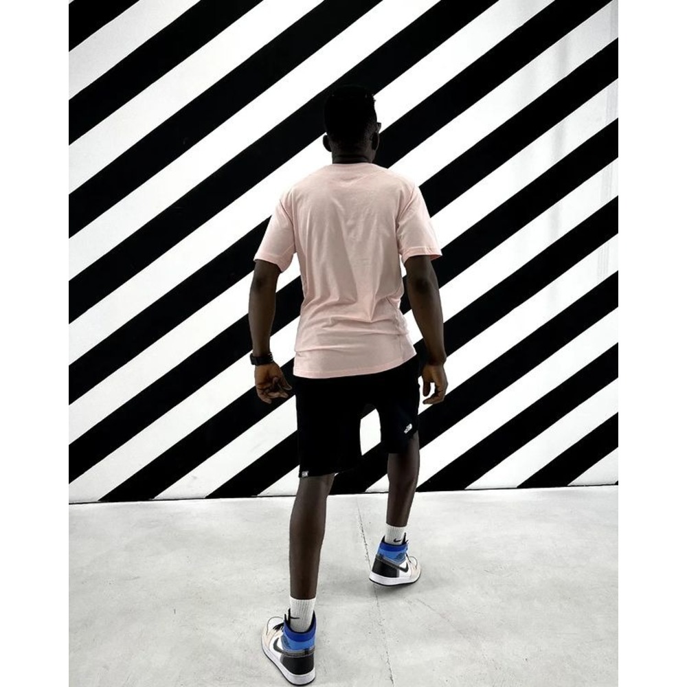 NORTFACE WICKER GRAPHIC T-SHIRT PEMBE