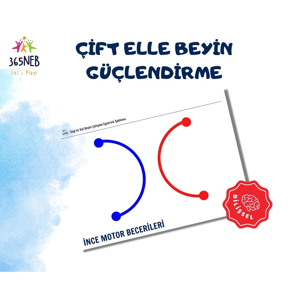 Okul Öncesi Çocuklar İçin Sağ Sol Beyin Egzersiz Şablonları | A3 Yazdırılabilir PDF