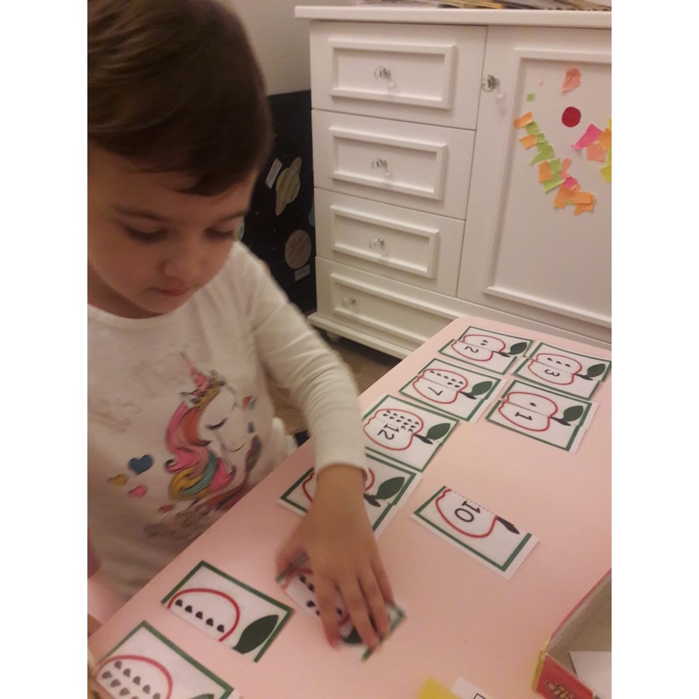 Elmalı Sayı Eşleştirme Kartları|Sayı Bilgi Kartları|Montessori bilgi kartları