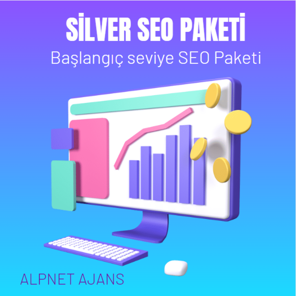 Silver SEO Paketi