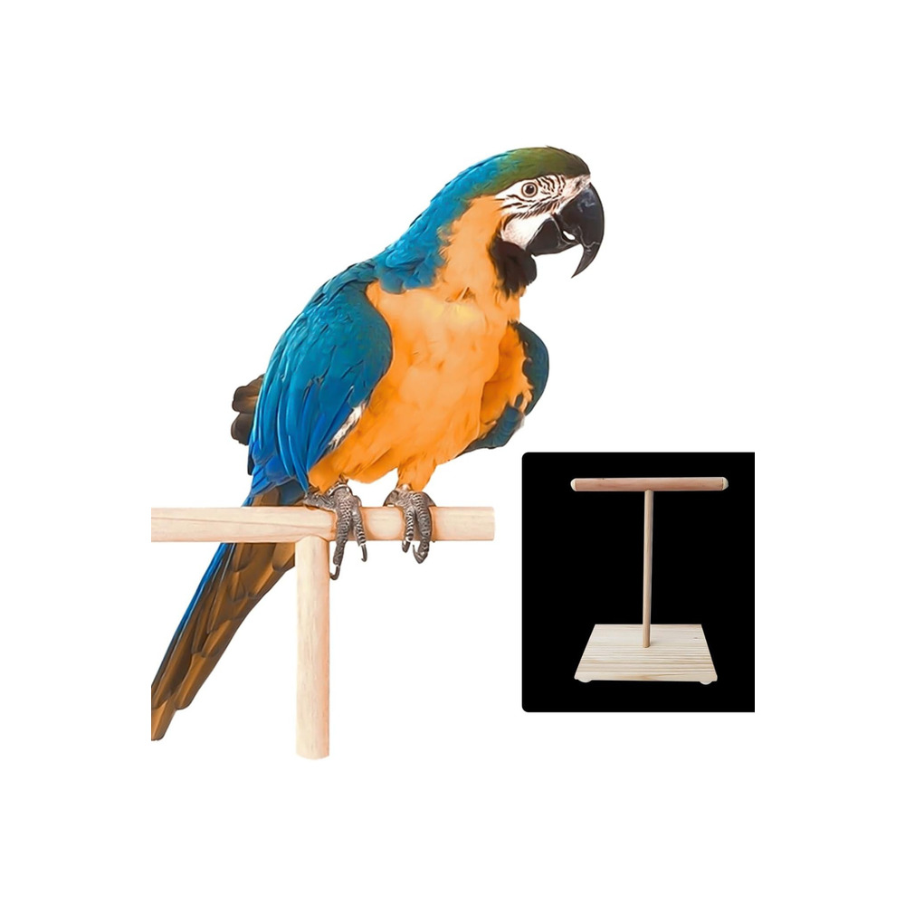 Ahşap T-Stand Kuş Platformu – Doğal, Dayanıklı, Kolay Montaj