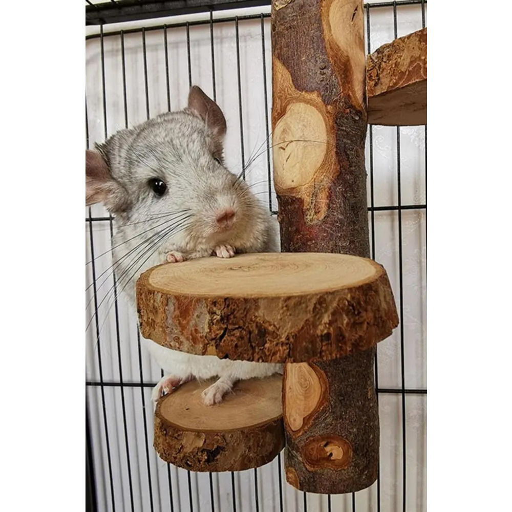 Çevre Dostu Chinchilla Standı ve Kuş Oyuncağı - Çok Amaçlı Bite Dayanıklı Levrek Standı