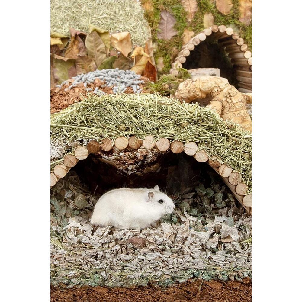 (40cm X 20cm) Hamster Gerbil Fare Sıçan Gine Domuzu Veya Diğer Küçük Hayvanlar Için Köprü Merdiveni