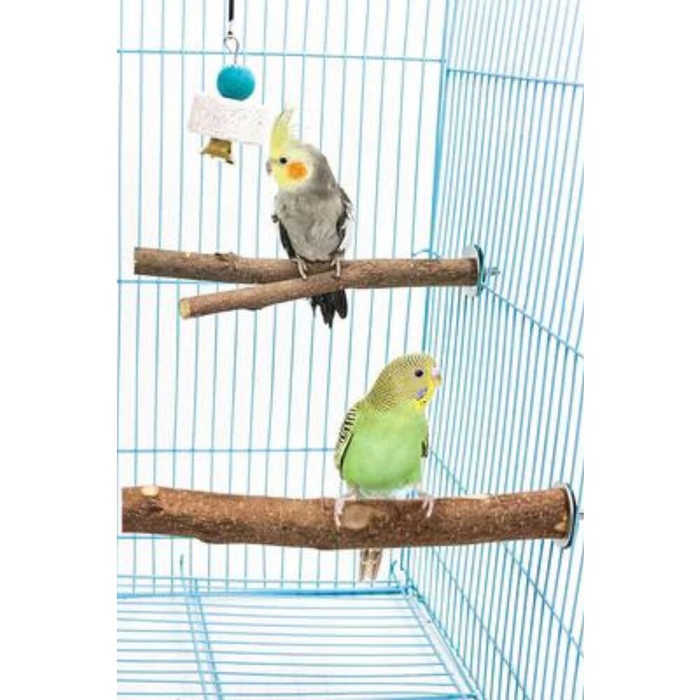 4 Paket Doğal Ahşap Kuş Levrek, Papağan Standı Levrek Platformu