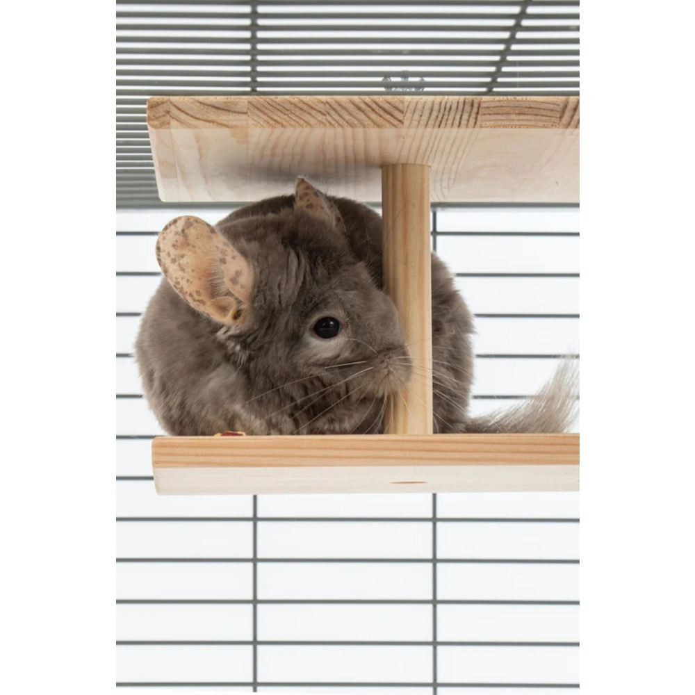 Çift Yüzlü Ahşap Platform – Çam 24.8 cm Genişlikli “Double-Sided Chinchilla Ledge”