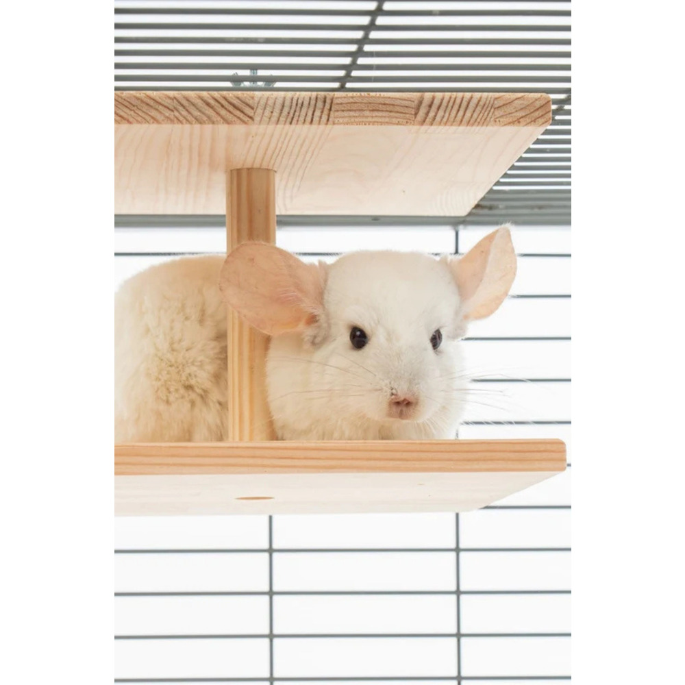 Çift Yüzlü Ahşap Platform – Çam 24.8 cm Genişlikli “Double-Sided Chinchilla Ledge”