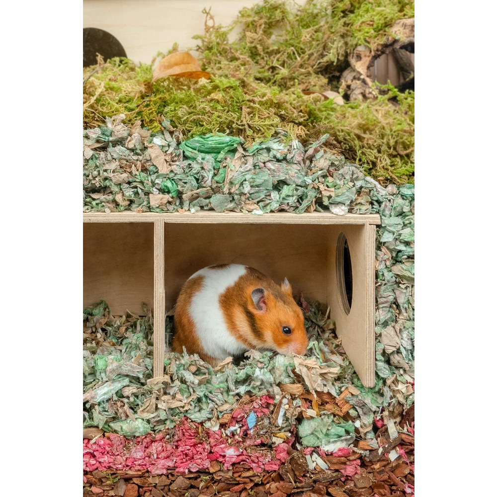Suriye Hamsterı İçin Büyük Boy Gizli Gözlem Evi - 2 Odalı Tünel ve Saklanma Oyuncağı