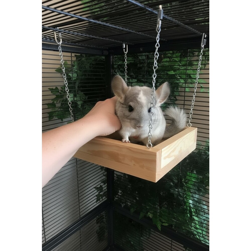 Çam Ahşap Chinchilla Salıncağı – 22,9 cm × 22,9 cm × 5,7 cm, Metal Zincirli