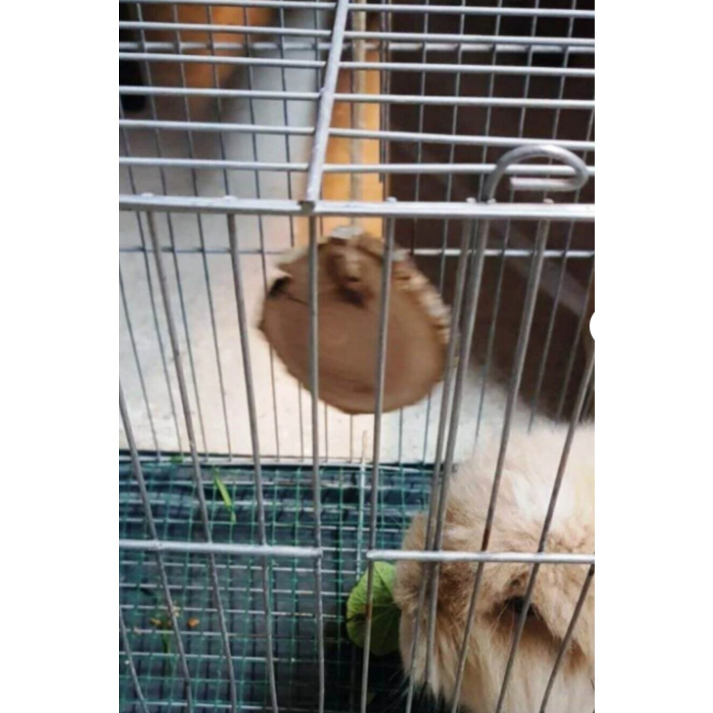 Doğal Ahşap Kemirme Oyuncağı – Hamster ve Tavşanlar için Sağlıklı ve Dayanıklı Oyuncak