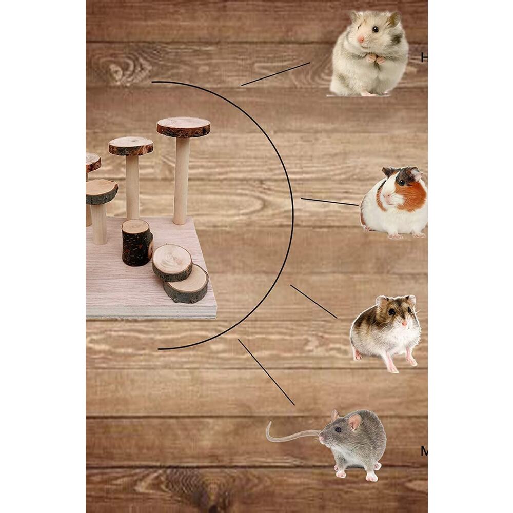 2'li Set Hamster Oyun Alanı Bendy Köprü Seti Cüce Hamster