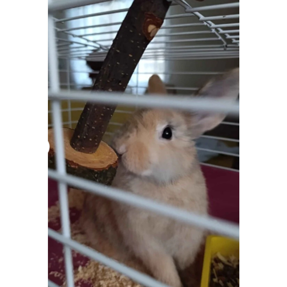 Doğal Kemirme Oyuncağı – Hamster, Tavşan ve Ginepig için Dayanıklı Yuvarlama Tasarım