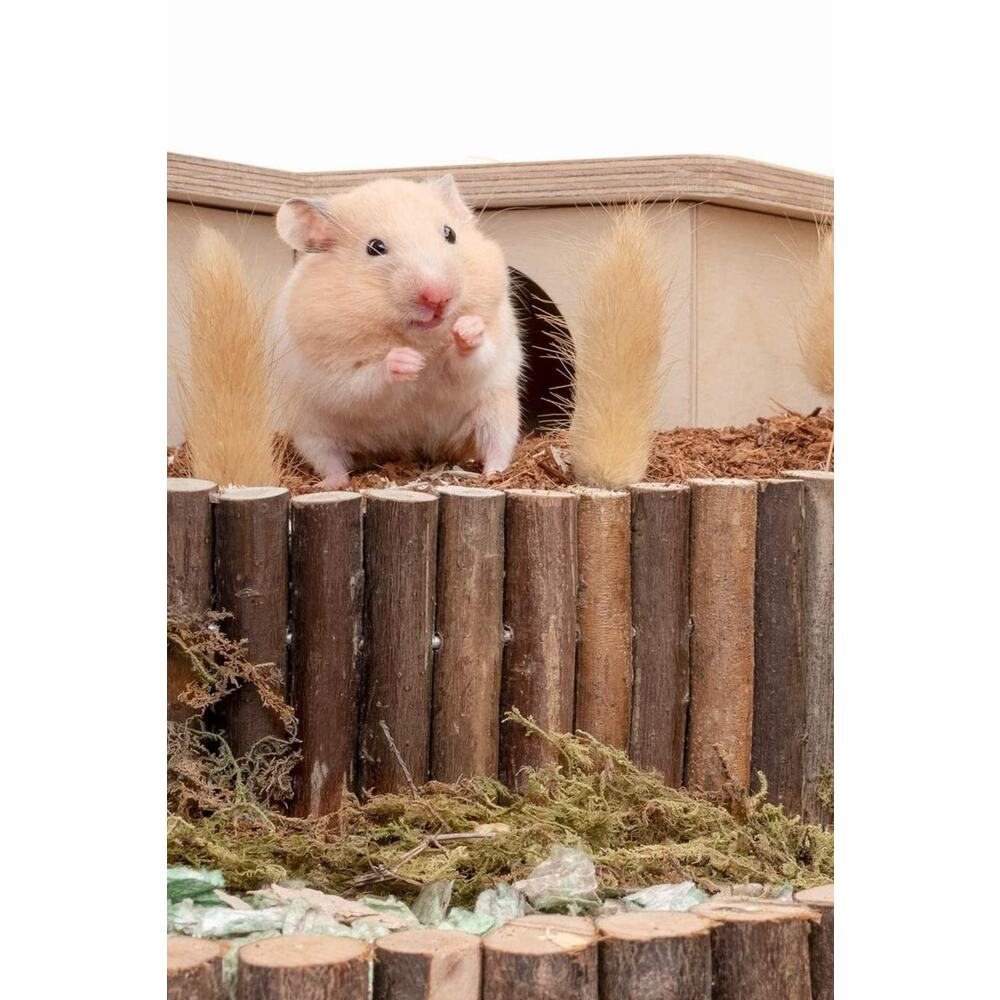 Hamster Fare Sıçan Kuşlar Için Eğlenceli Ahşap Merdiven Köprü